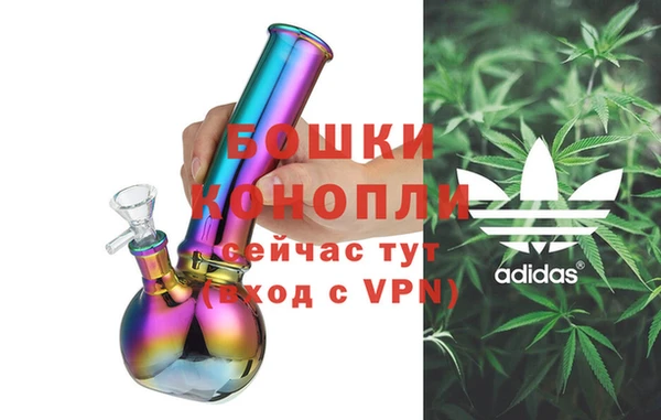 спайс Касимов