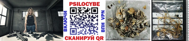 закладка  кракен ССЫЛКА  Галлюциногенные грибы Psilocybe  Арамиль 